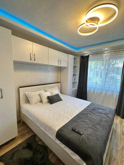 Stylish Apartment In Dambu Târgu-Mureş Eksteriør bilde